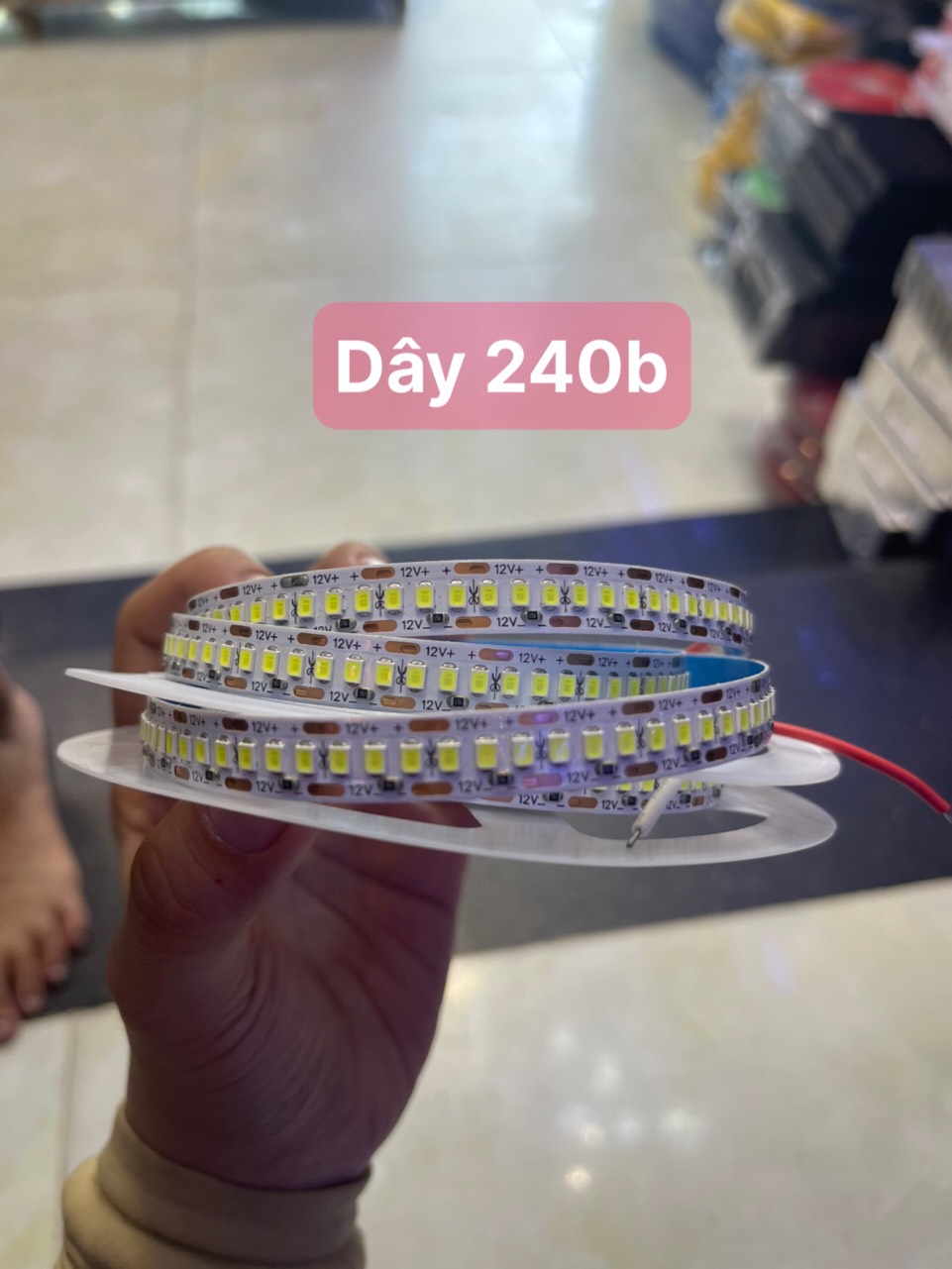 Led dây 240b 12v 5 Mét