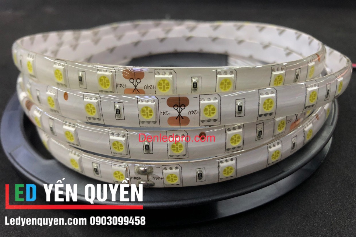 LED Dây 5050 24V (5M)