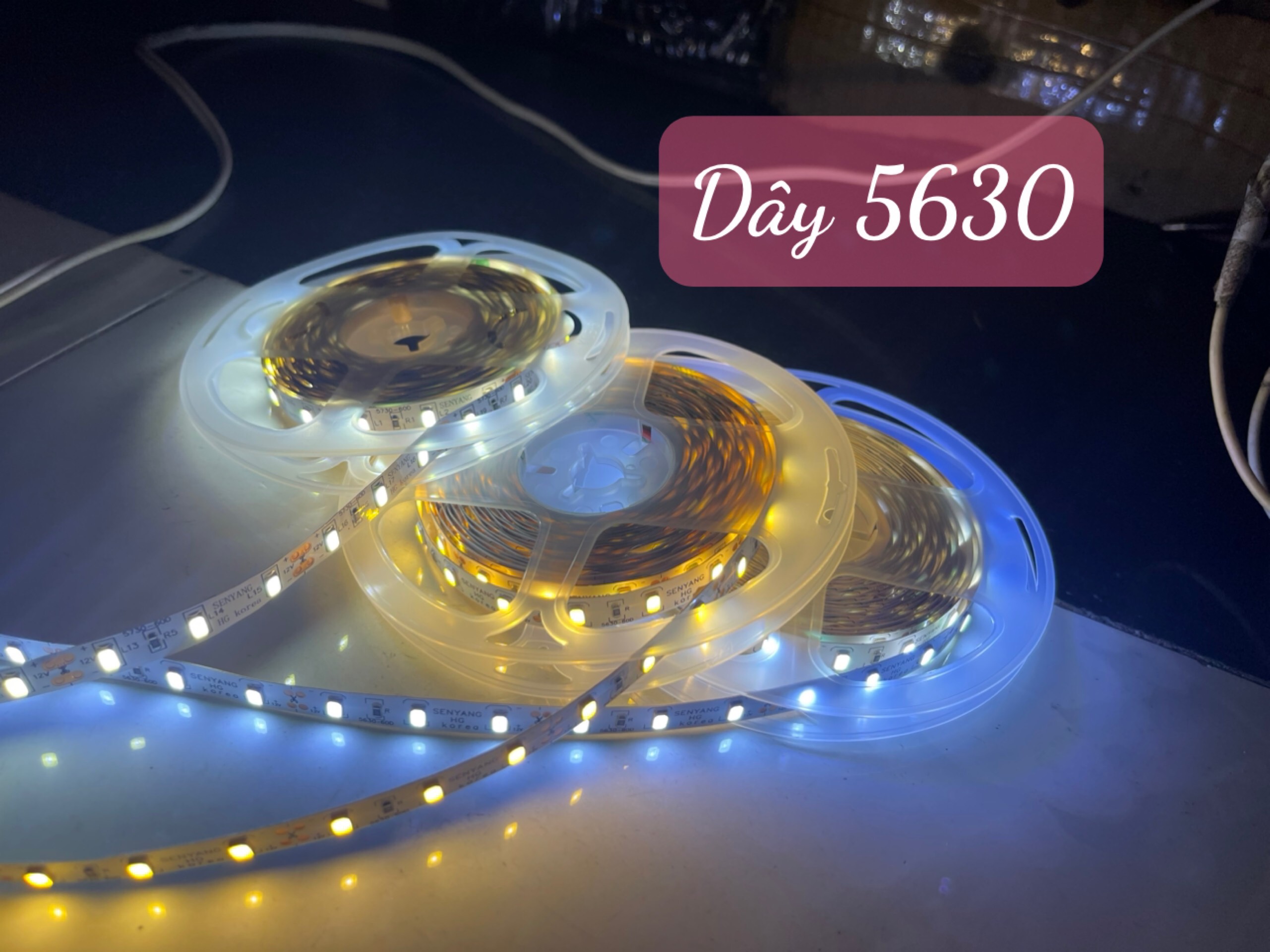 Led Dây 5630  Senyang 12V