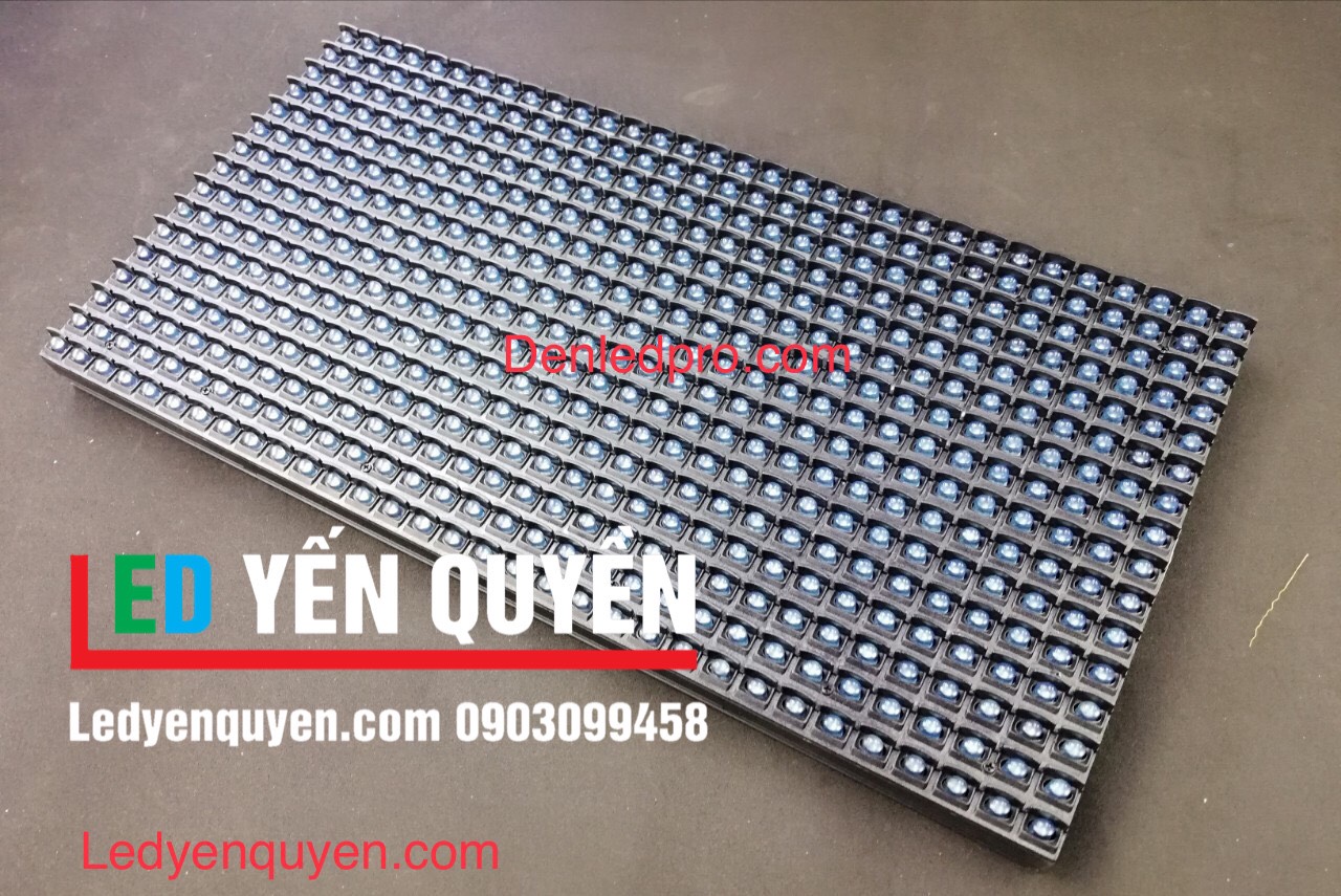 P10 Đơn Màu Xanh Dương