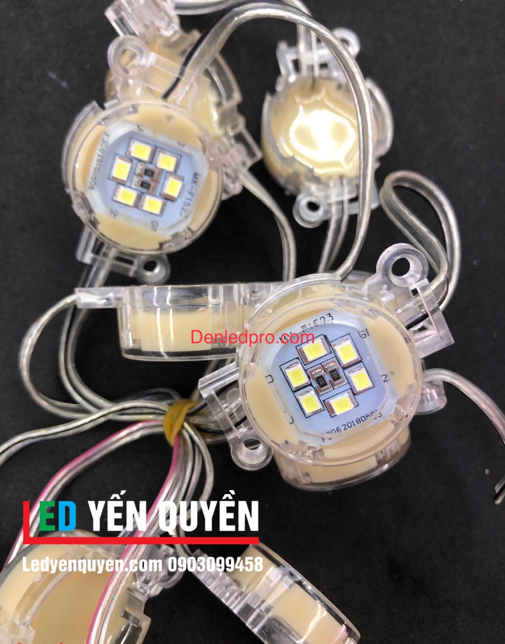 LED Bát Đơn Màu 24v (30mm) trong