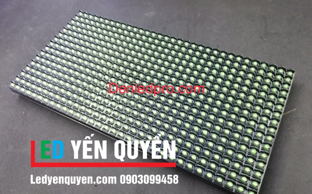 P10 Đơn Màu Xanh Lá 