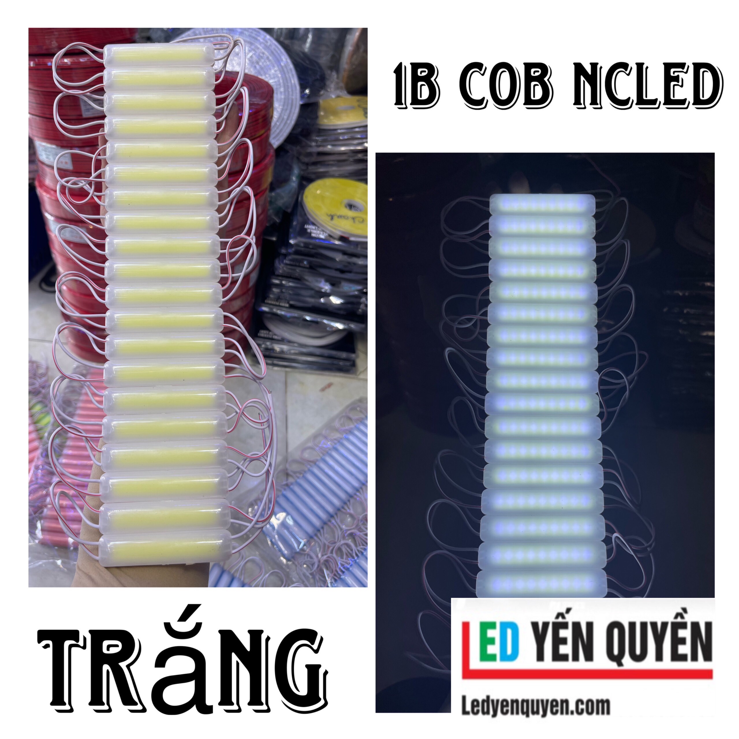 LED MODULE COB NCLED 12V
