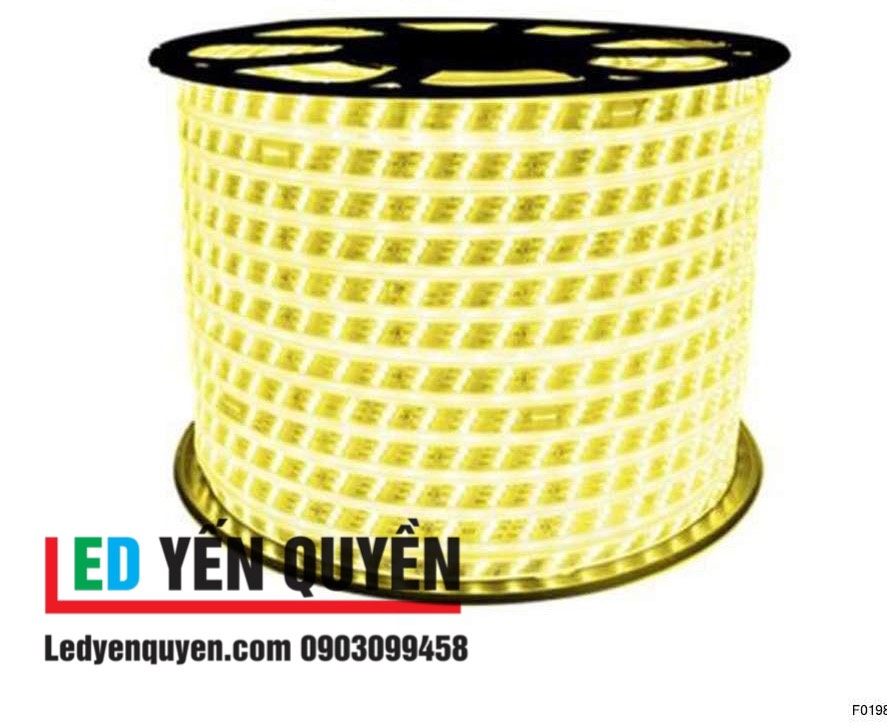 LED Dây 220V 3 Hàng LED 100m