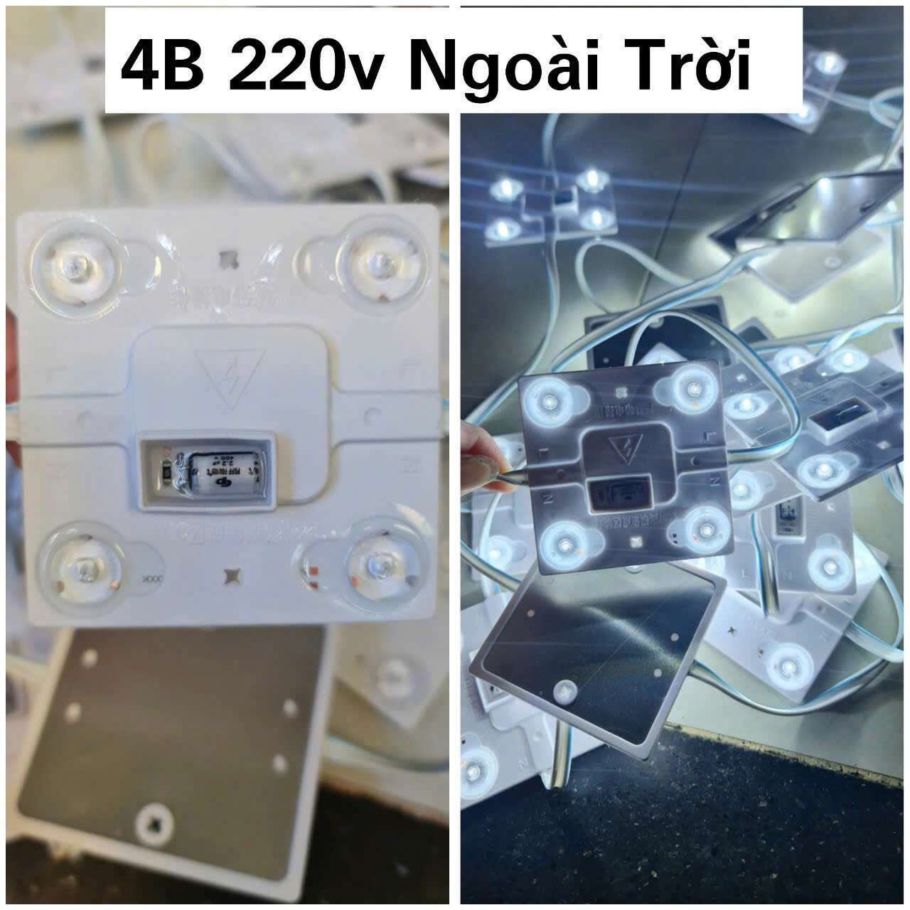 4b ngoài trời 220v trắng