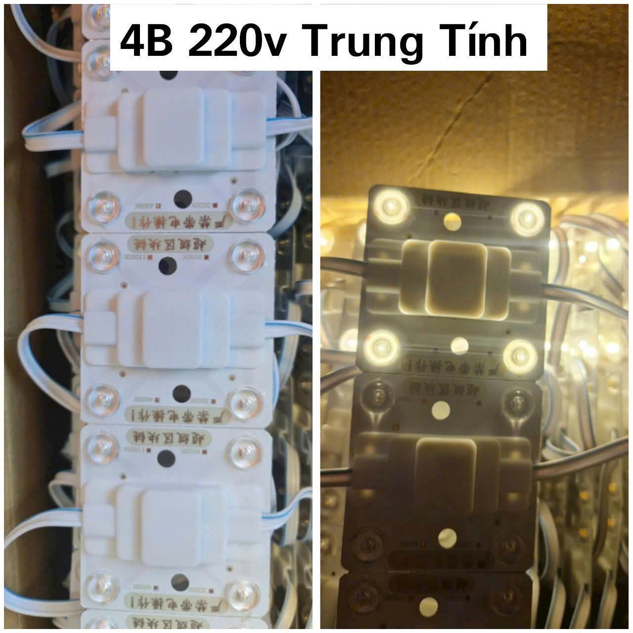 4b 220v trong nhà trung tính(4000k)